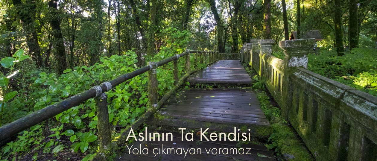 Aslının Ta Kendisi